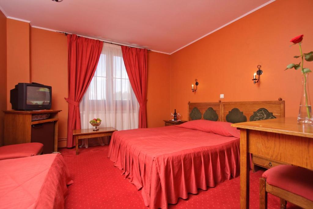 Hotel Castel Dracula ピアトラ・フントゥネレ 部屋 写真
